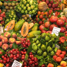 Healthy Body, Healthy Mind Healthy Body, Healthy Mind