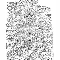 What is Prana? What is Prana?